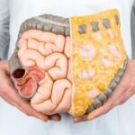 75ab4221-5b23-467d-b7b5-1bcd1318e3e3_169