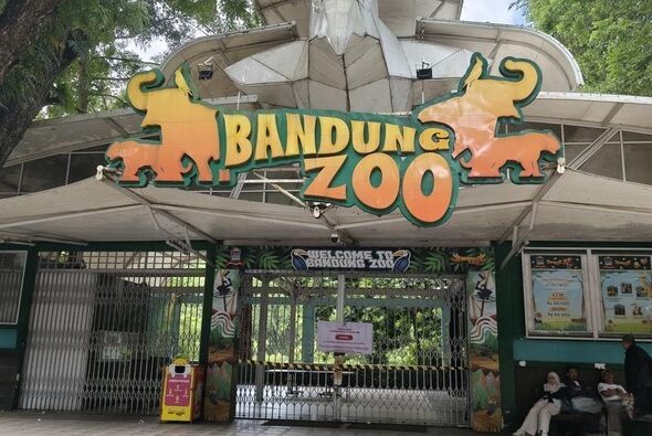 bandung-zoo-disegel-1770260734503_169