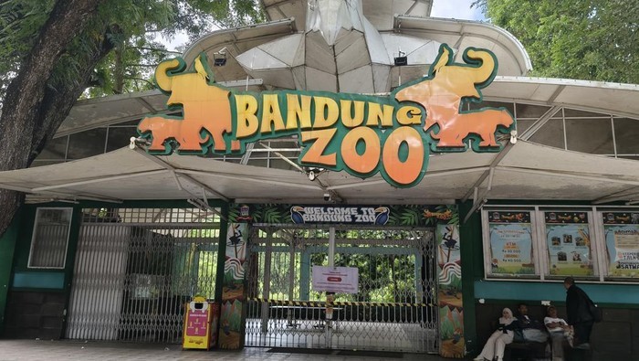 bandung-zoo-disegel-1770260734503_169